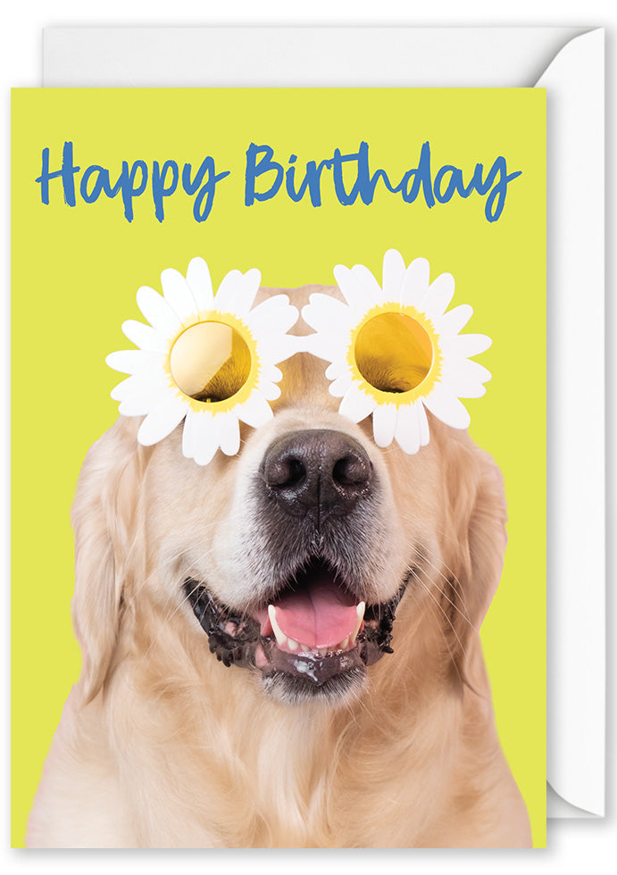 Card - "Happy Birthday" Golden Retriever with Glasses